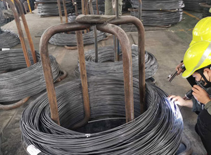 Appearance inspection-site