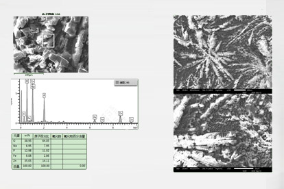 Membrane test-electron micrograph