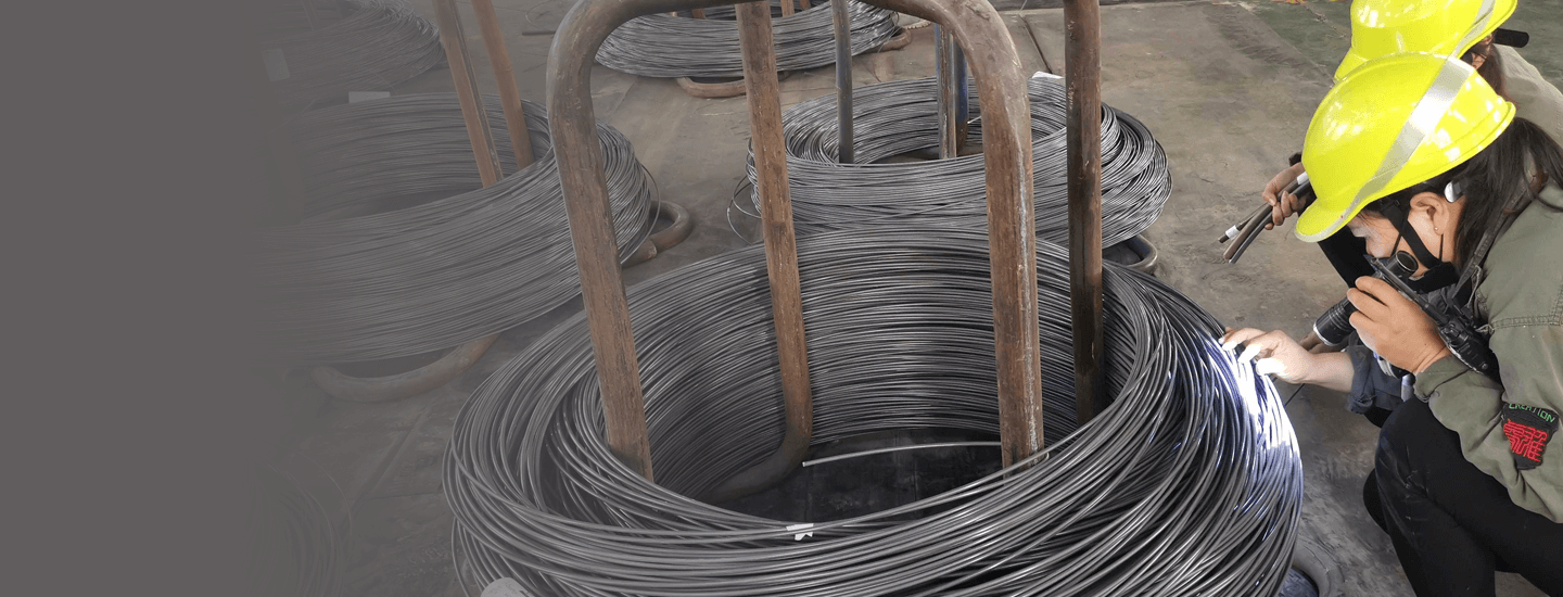 China Cold Heading Wire Rod Benchmark Manufacturer