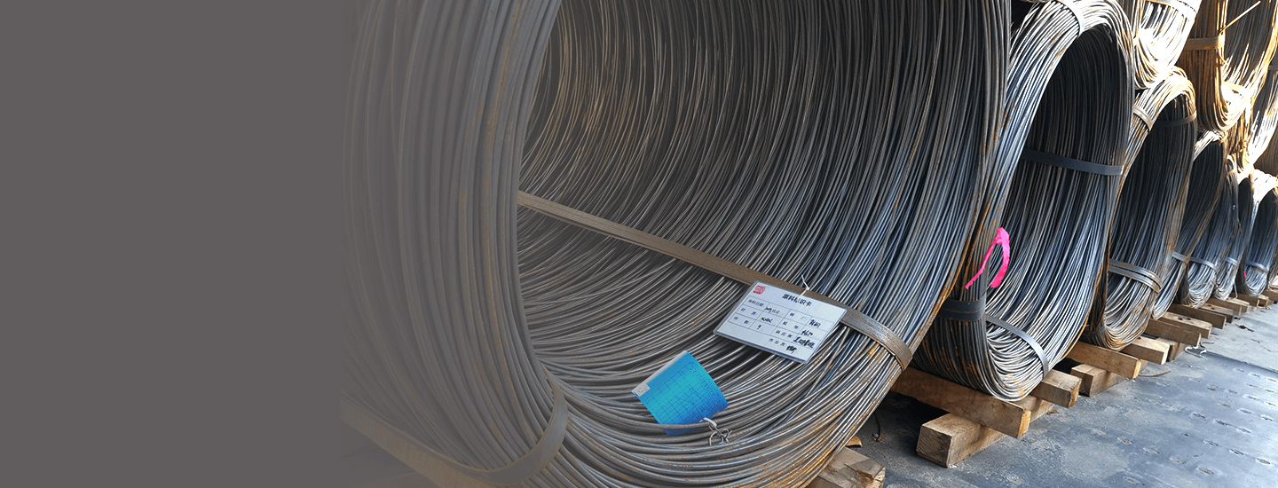 China Cold Heading Wire Rod Benchmark Manufacturer