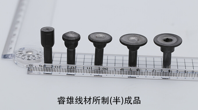 X10CrNi18-8 Cold heading steel wire